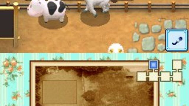 Harvest Moon DS: Grand Bazaar 1
