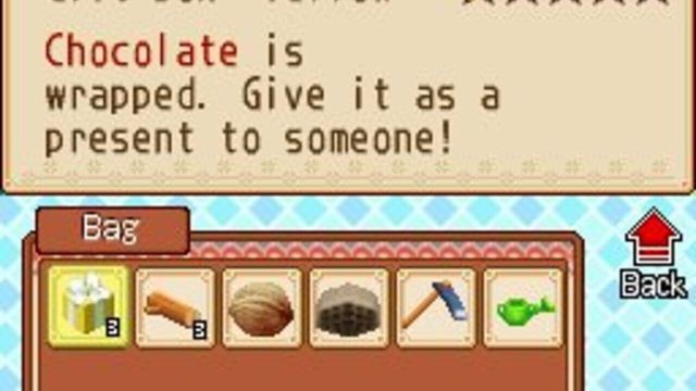 Harvest Moon DS: Grand Bazaar 2