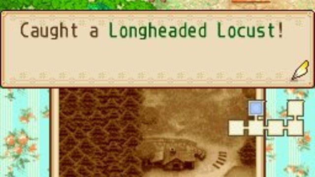 Harvest Moon DS: Grand Bazaar 3