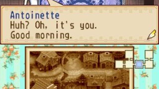 Harvest Moon DS: Grand Bazaar 5
