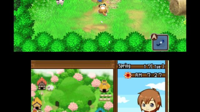 Harvest Moon: The Tale of Two Towns 1