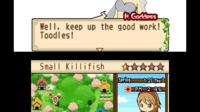 Harvest Moon: The Tale of Two Towns 2