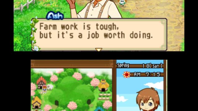 Harvest Moon: The Tale of Two Towns 3
