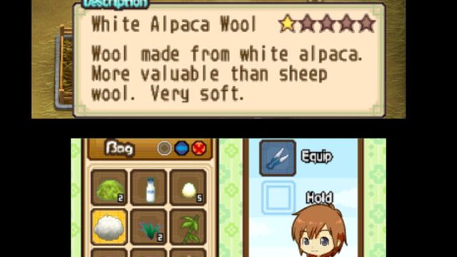 Harvest Moon: The Tale of Two Towns 4