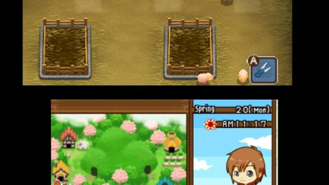 Harvest Moon: The Tale of Two Towns 6
