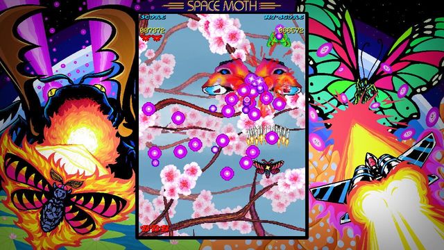 Space Moth DX 3