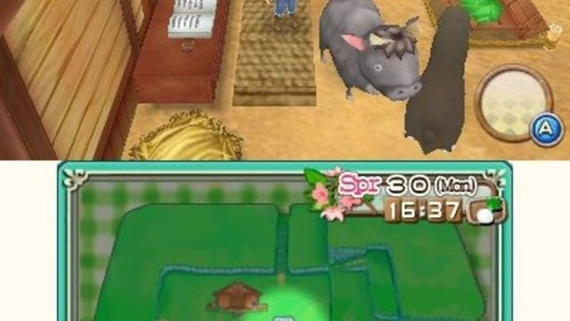 Harvest Moon: A New Beginning 2