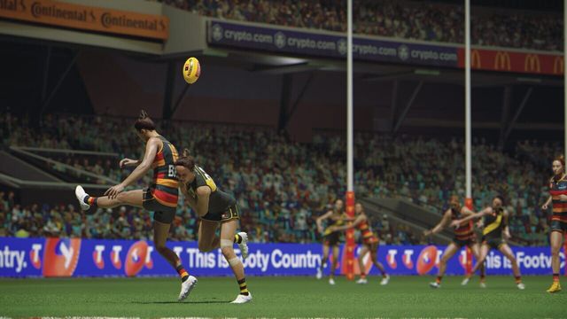AFL 26 6