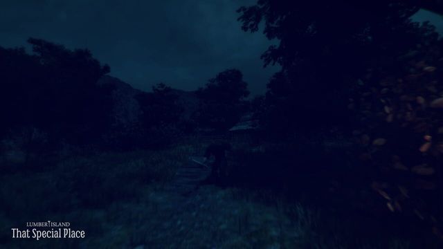 Lumber Island - That Special Place 2