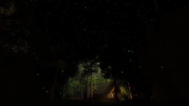 Fireflies 3