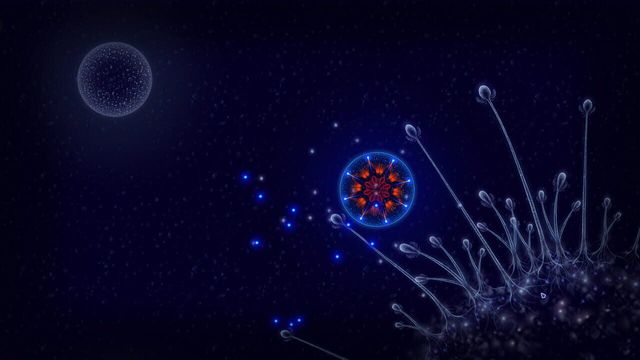 Microcosmum: Survival of Cells 1