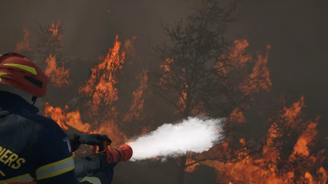 Rescue Ops: Wildfire 3