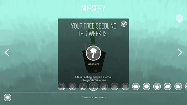 Viridi 4