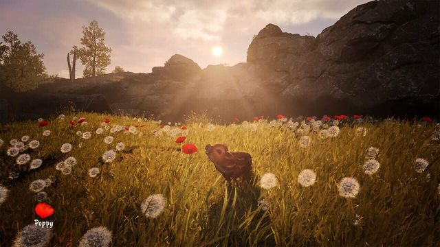 Adorable Adventures 2
