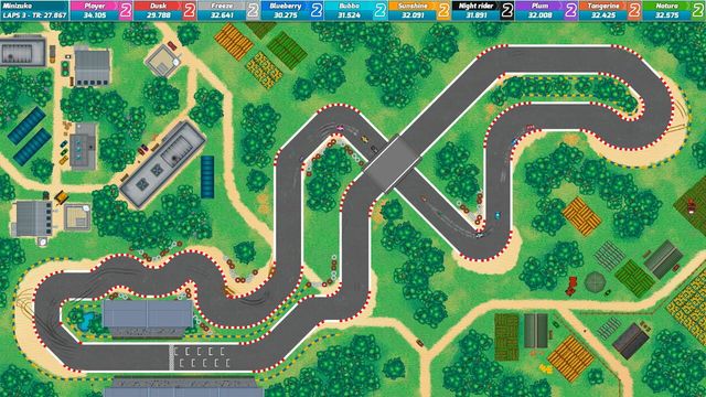 Race Online 5