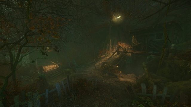 The Cursed Forest 2