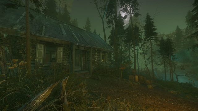 The Cursed Forest 3