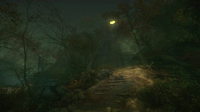 The Cursed Forest 4