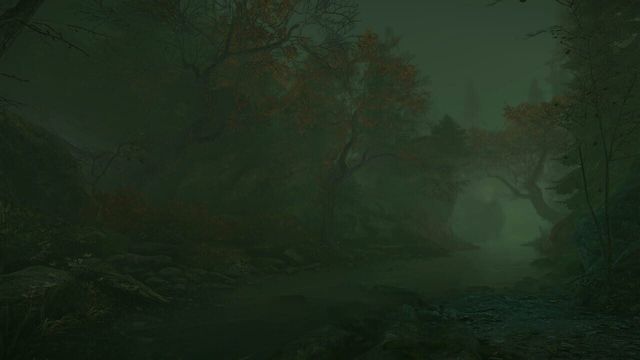 The Cursed Forest 5
