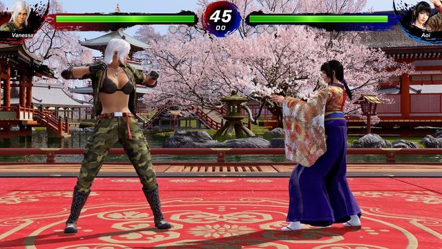 Virtua Fighter 5 R.E.V.O. World Stage 4