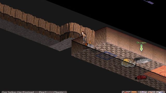 Vulture for NetHack 5