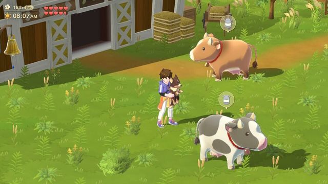 Harvest Moon: Home Sweet Home Special Edition 3