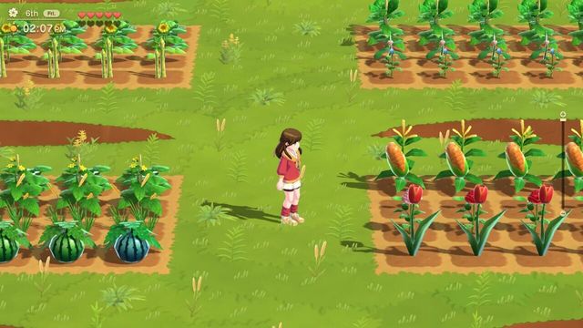 Harvest Moon: Home Sweet Home Special Edition 4