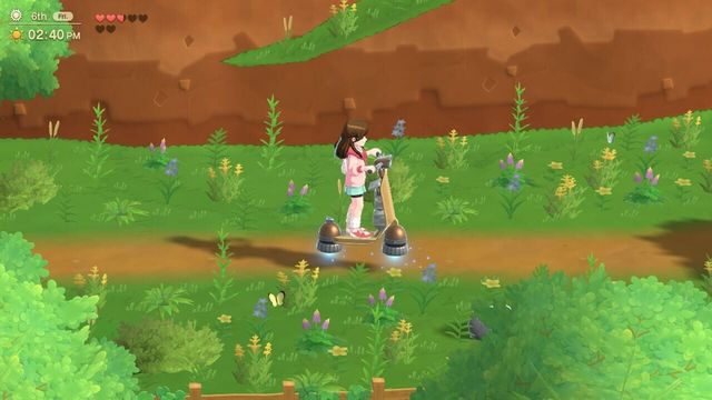 Harvest Moon: Home Sweet Home Special Edition 5