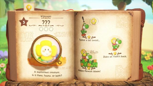 Yoshi and the Mysterious Book 6