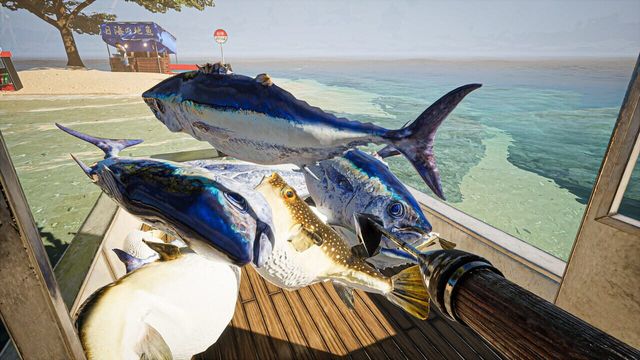 Umigari 5