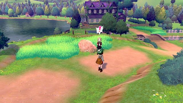 Pokémon Sword 5