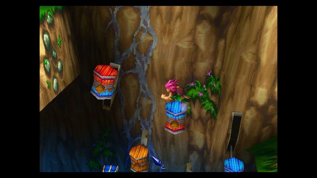 Tomba! 2: The Evil Swine Return Special Edition 5
