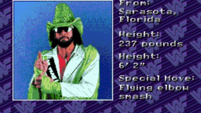 WWF Royal Rumble 3