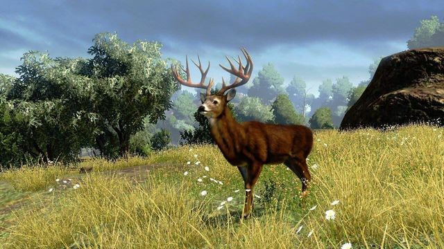 Cabela's Outdoor Adventures 2