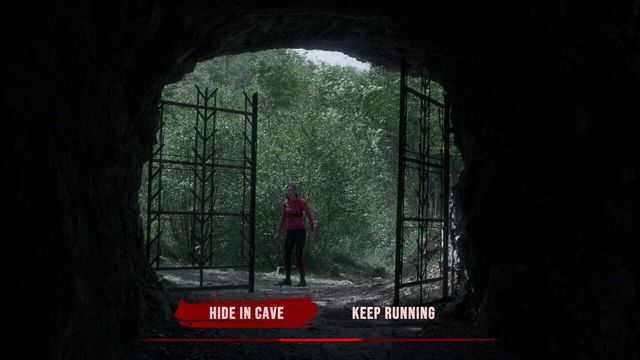 The Run 2