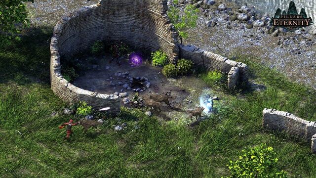 Pillars of Eternity: Complete Edition 5