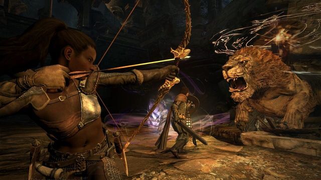 Dragon's Dogma 4