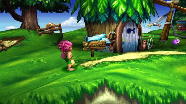 Tomba! 2: The Evil Swine Return 2