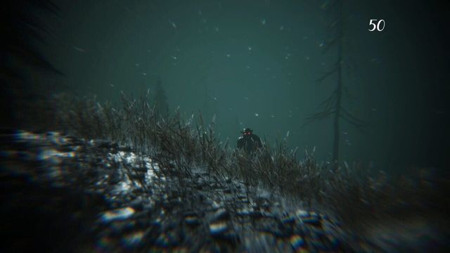 Gevaudan 5