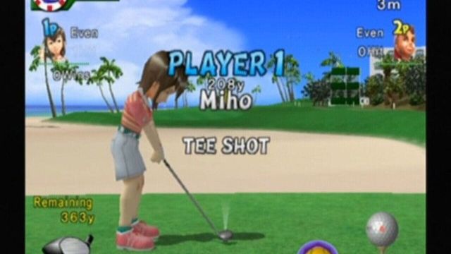 Swingerz Golf 3