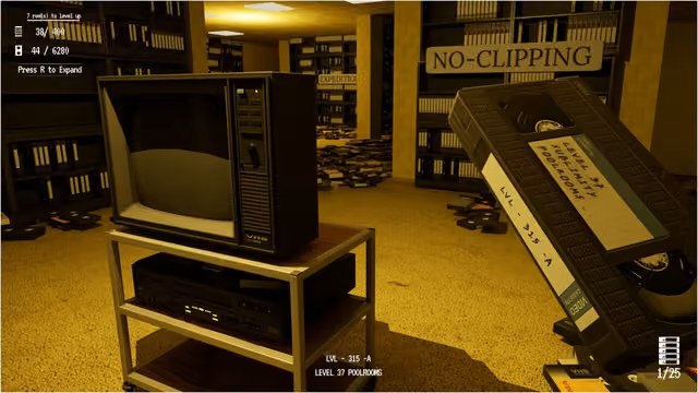 Tidy Up the Backrooms 1