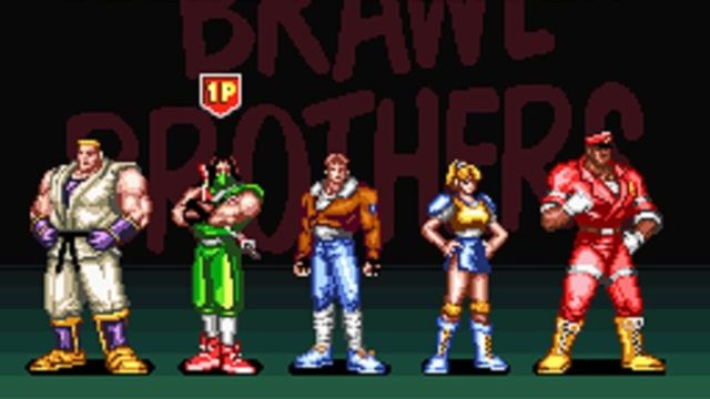 Brawl Brothers 6