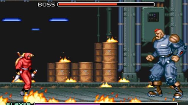 Ninja Warriors 2