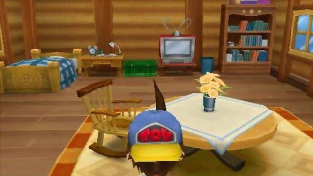 Harvest Moon: Hero of Leaf Valley 3