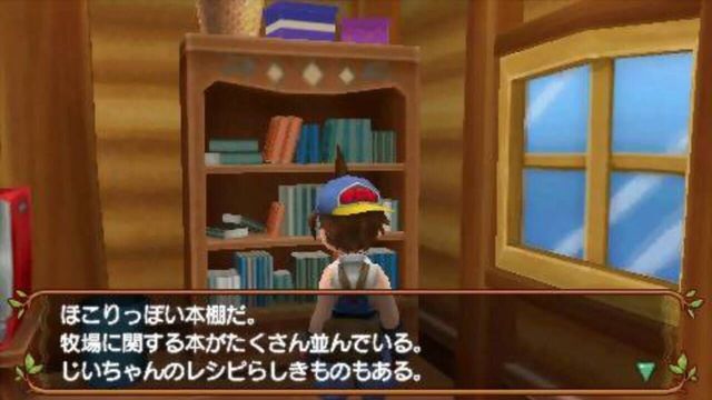 Harvest Moon: Hero of Leaf Valley 4