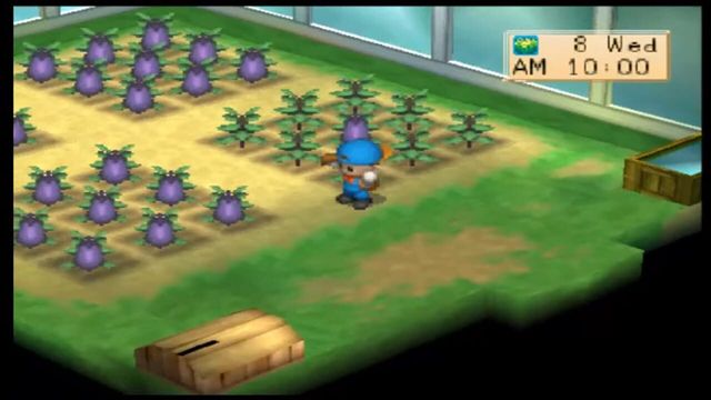 Harvest Moon: Boy & Girl 1