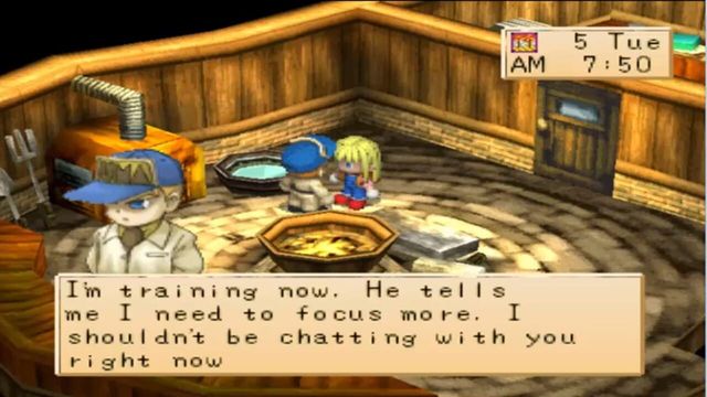 Harvest Moon: Boy & Girl 3