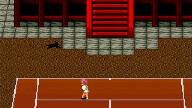 Smash Tennis 1