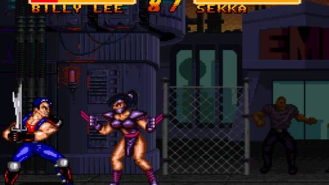 Double Dragon V: The Shadow Falls 2