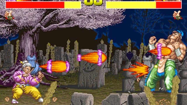 Power Instinct 4